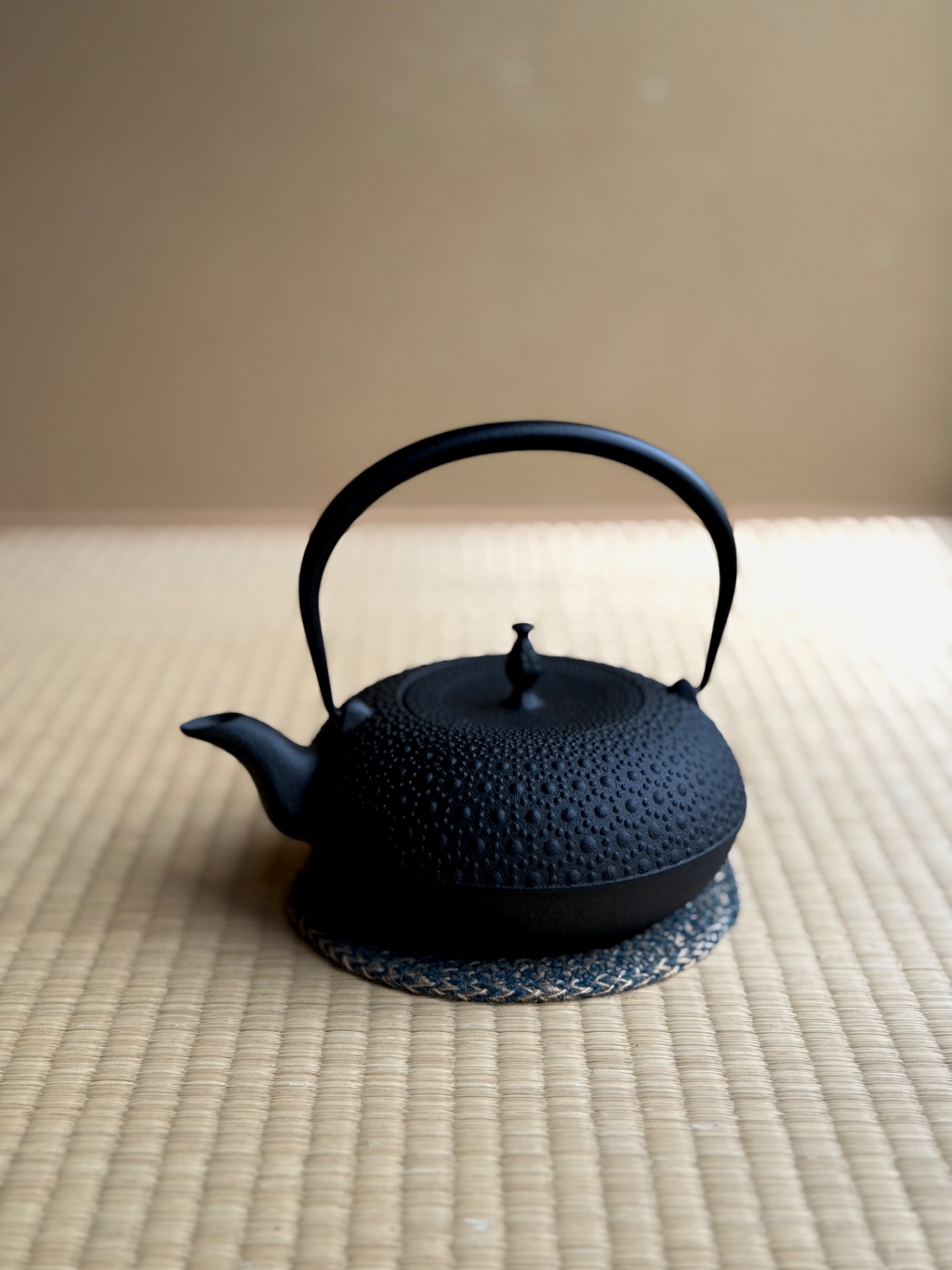 A tetsubin cast-iron kettle by OIGEN